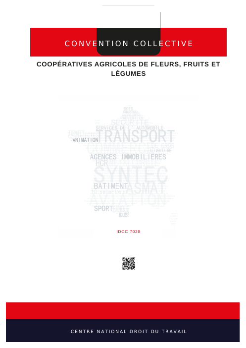 Couverture IDCC7028