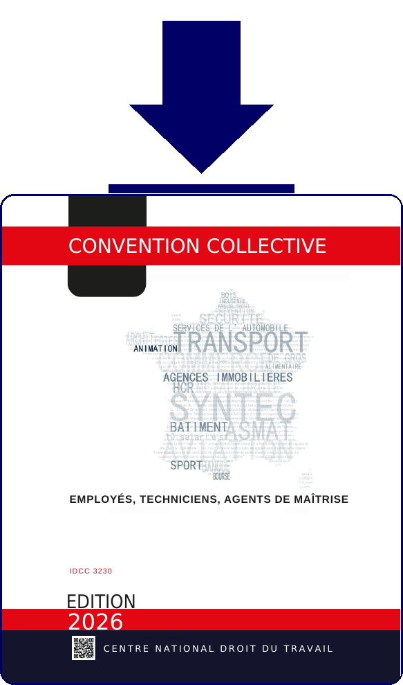 Convention IDCC3230 - Telechargement PDF