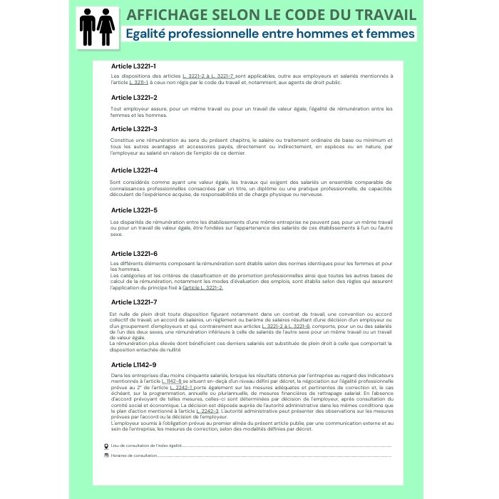 Egalité professionnelle entre les hommes et les femmes